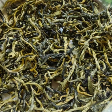 英红九号茶叶