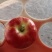 乐陵二百亩鲁丽苹果65.70规格，果面接近全红，价格可商量！