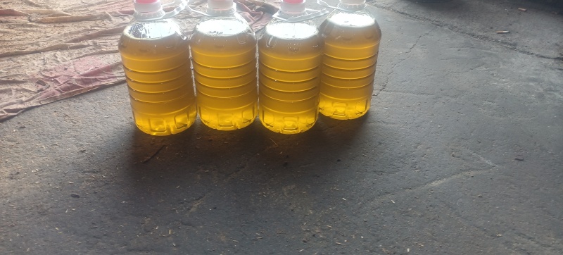 菜油