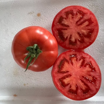 釜山88还有**好吃口感大番茄🍅