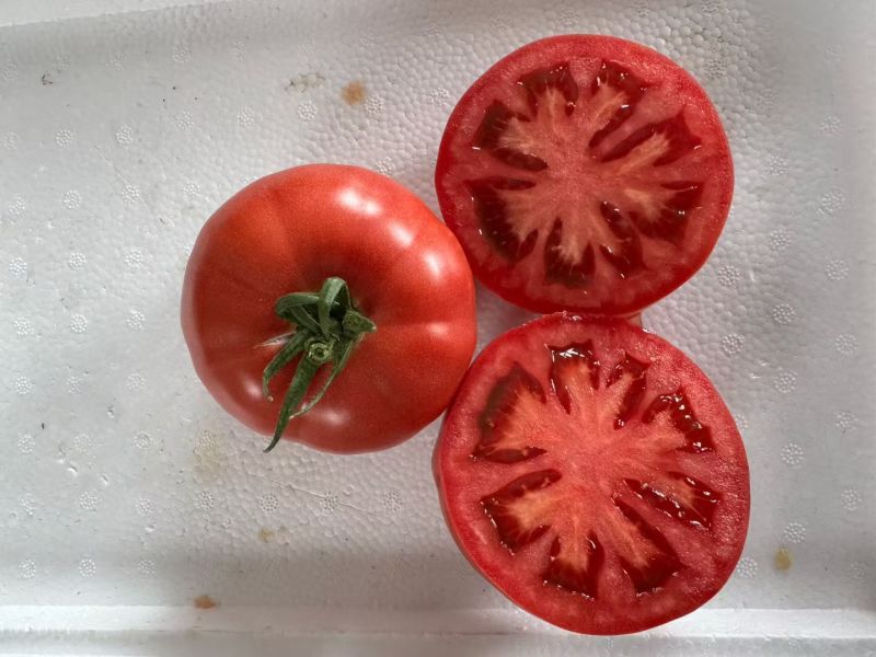 釜山88还有**好吃口感大番茄🍅
