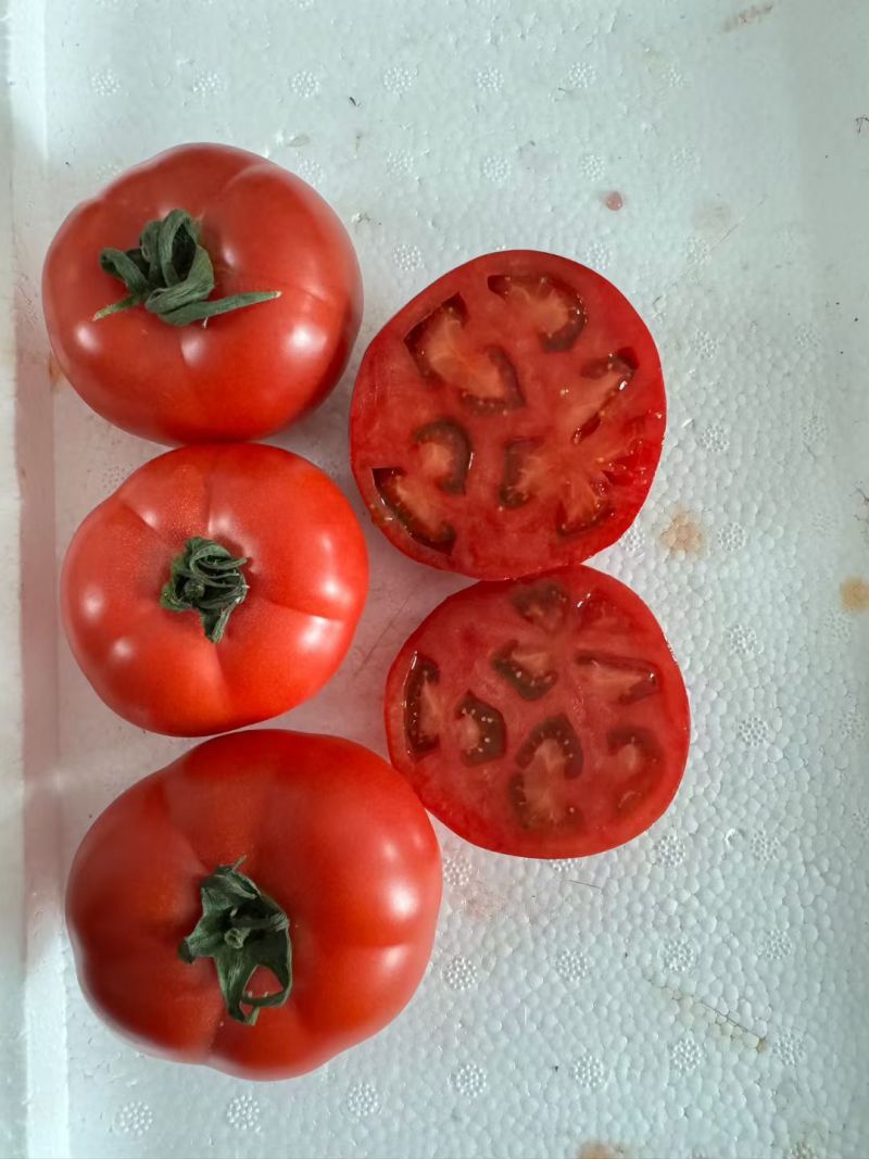 釜山88还有**好吃口感大番茄🍅