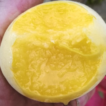云南省昭通市彝良锦绣黄桃