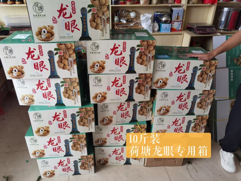 广东高州储良龙眼