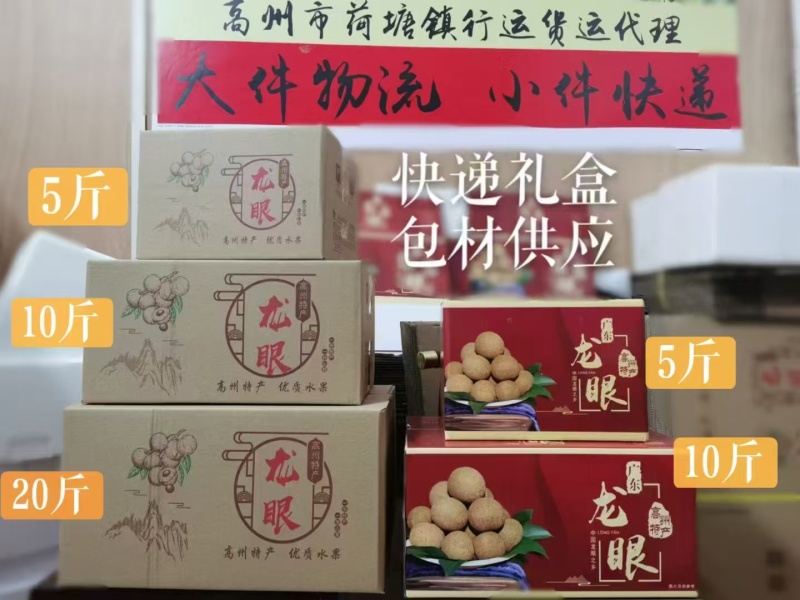广东高州储良龙眼