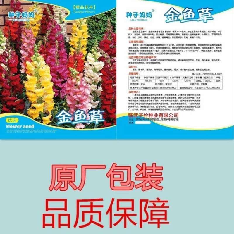 金鱼草种子狮子花耐阴耐寒多年生花海阳台庭院盆栽宿根花卉种籽