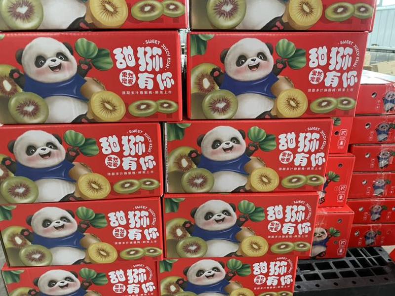 精品黄心猕猴桃，品质放心，源头代发：社区团购，超市，一件代发