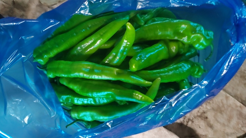 牛角椒，青椒
