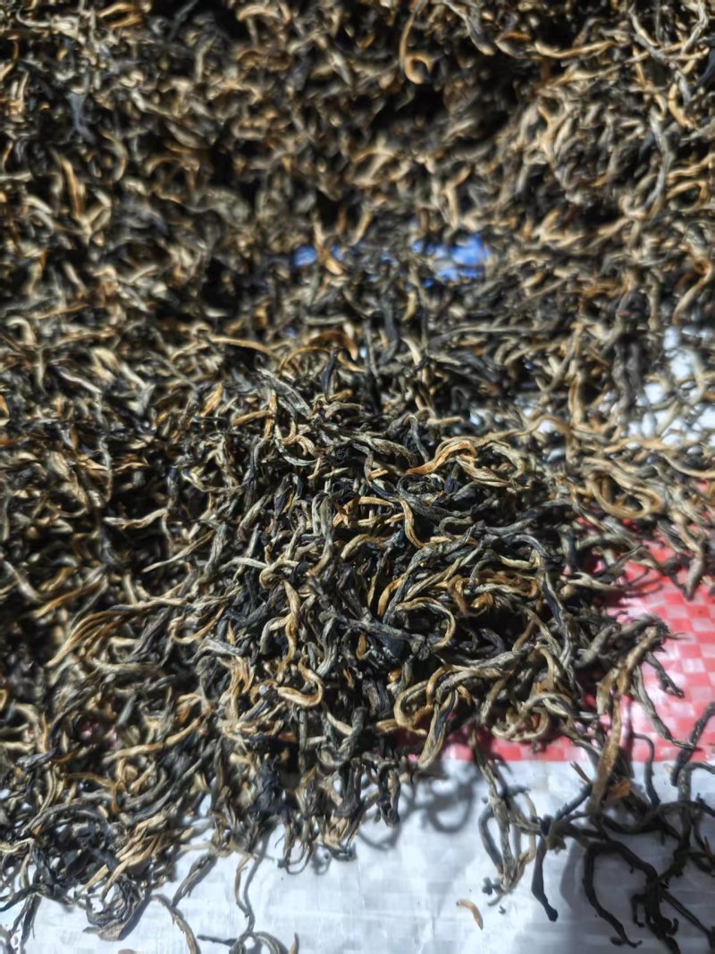 广东省英德红茶，英德特产金毛毫