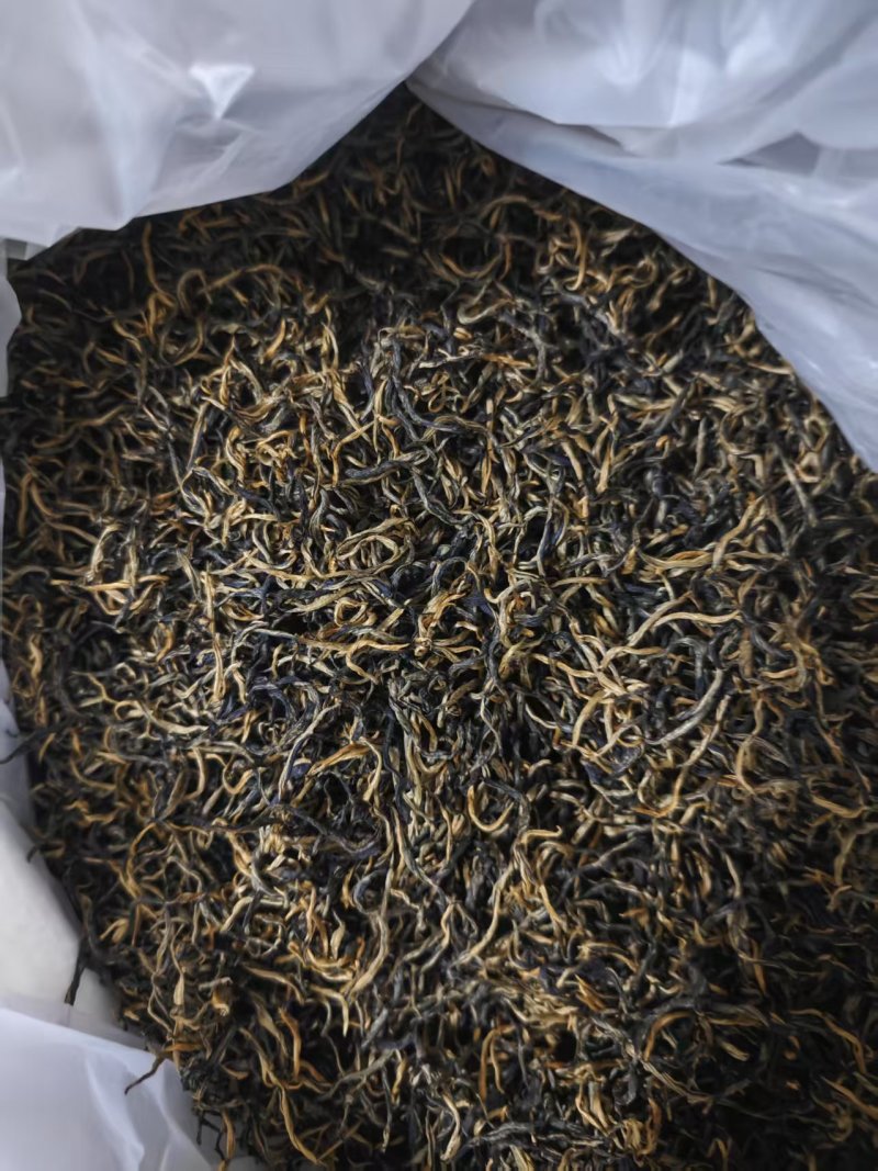 广东省英德红茶，英德特产金毛毫