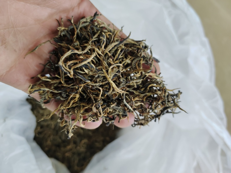 广东省英德红茶，英德特产金毛毫