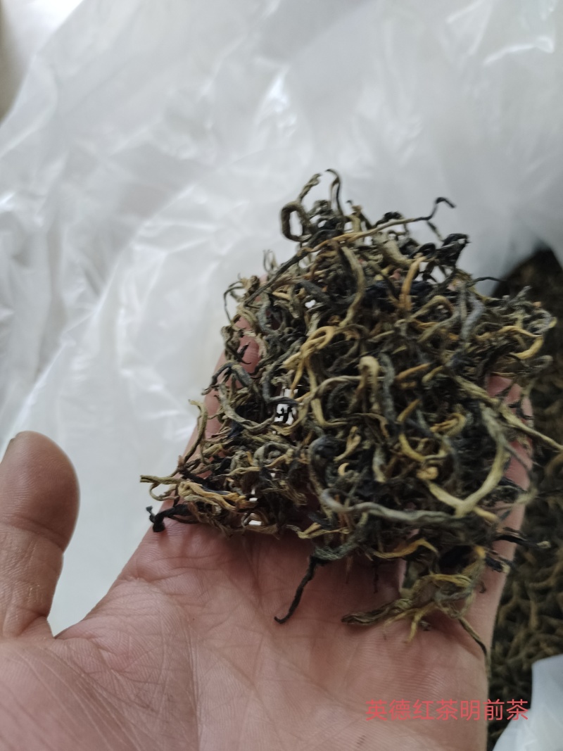 广东省英德红茶，英德特产金毛毫