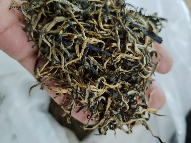 广东省英德红茶，英德特产金毛毫