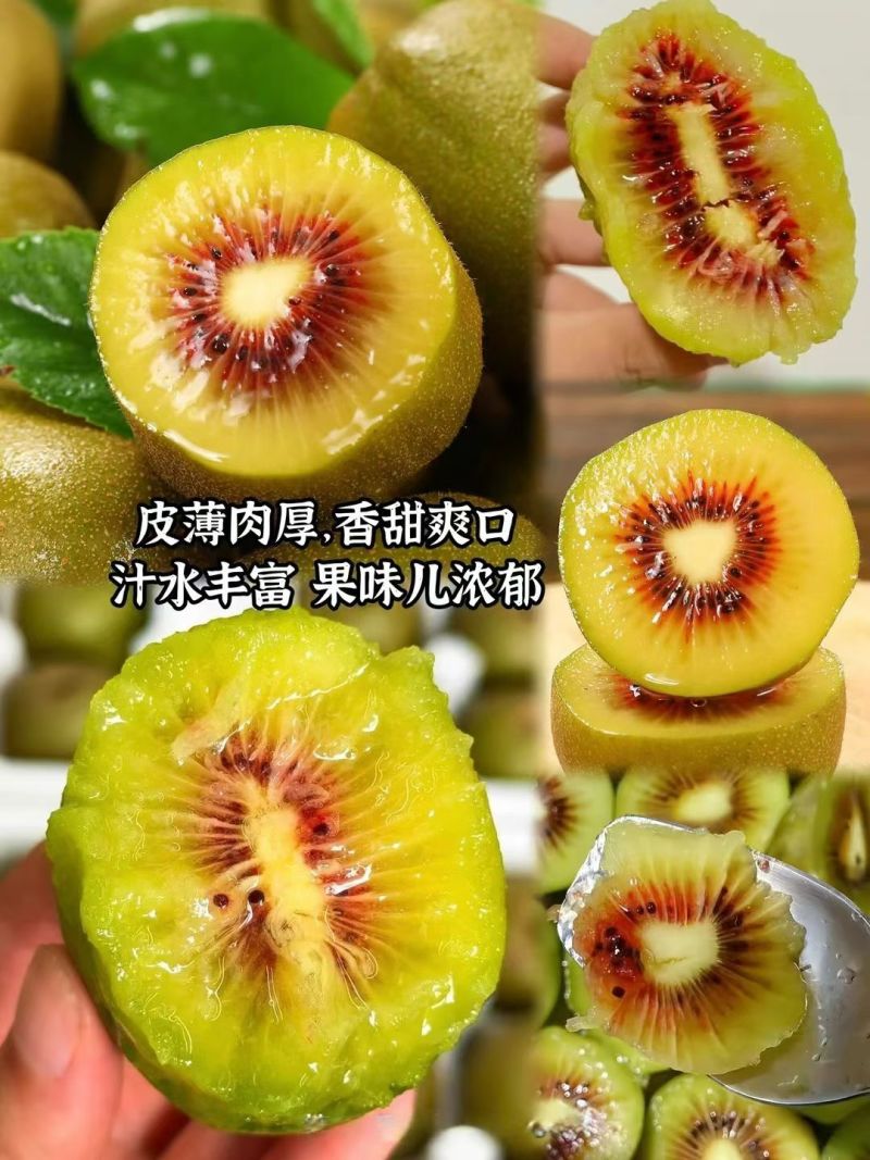 贵州正宗红心猕猴桃