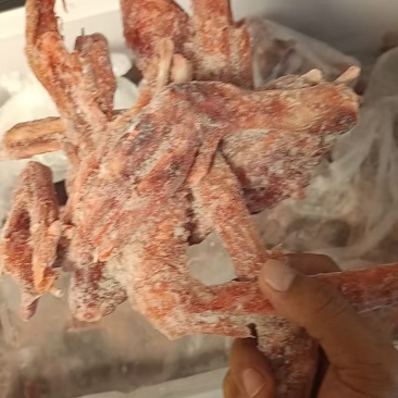 鹅翅10吨