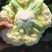 精品散花