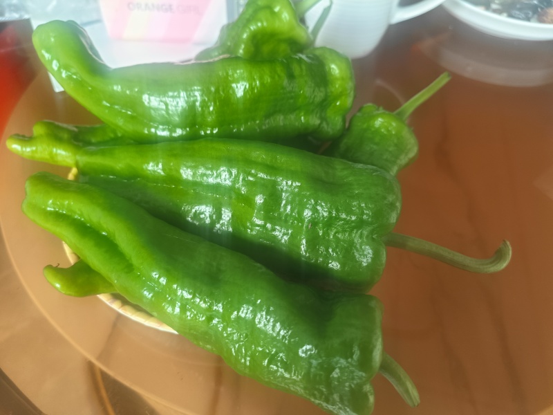 辣椒