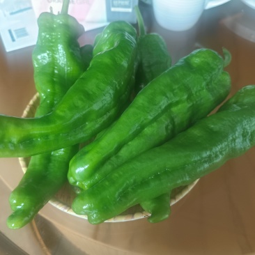 辣椒