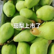 茄梨产地大量上市！