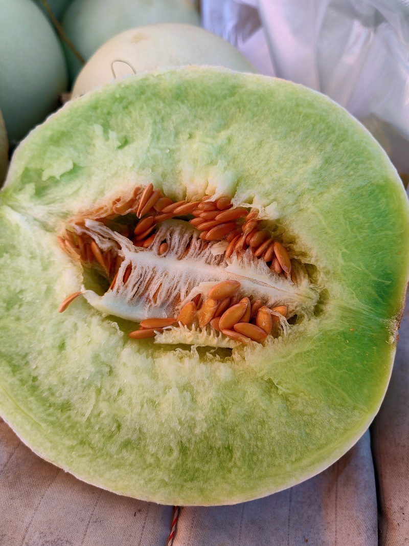甘肃哈蜜瓜