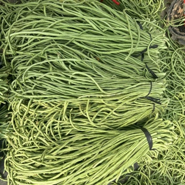 豆角#青条豆角