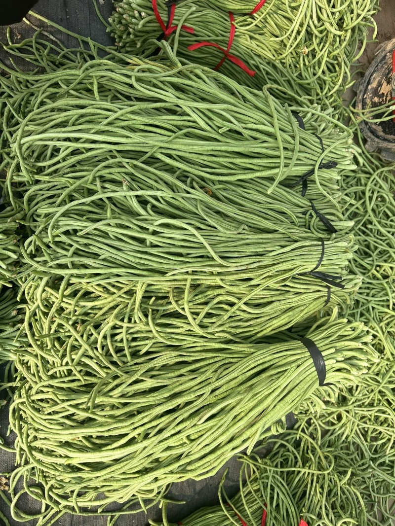 豆角#青条豆角