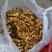香格里拉野生鸡油菌
