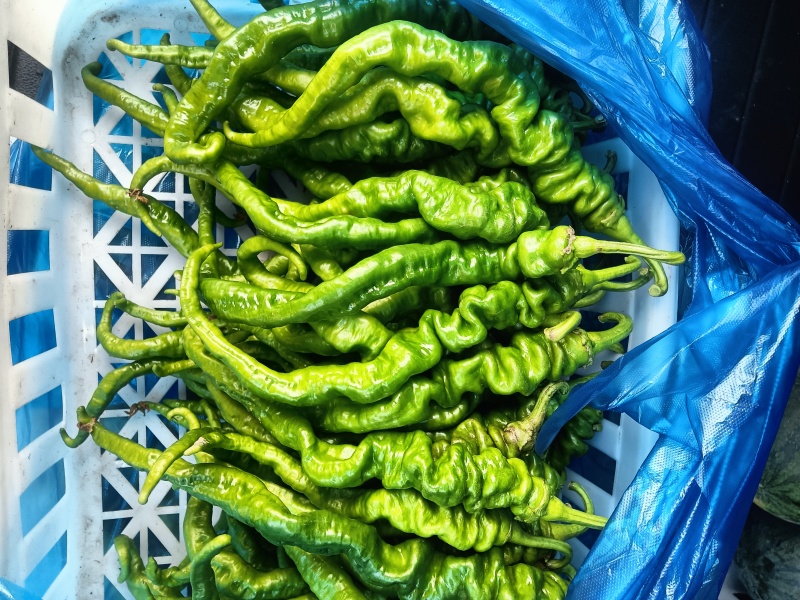鲜辣椒