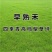 进口草坪种子四季青早熟禾草籽庭院别墅绿化肯塔基优美早