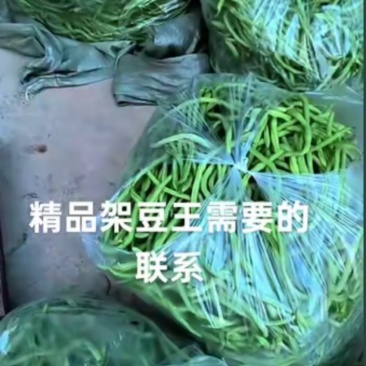 武都架豆王农家自种，没打农药