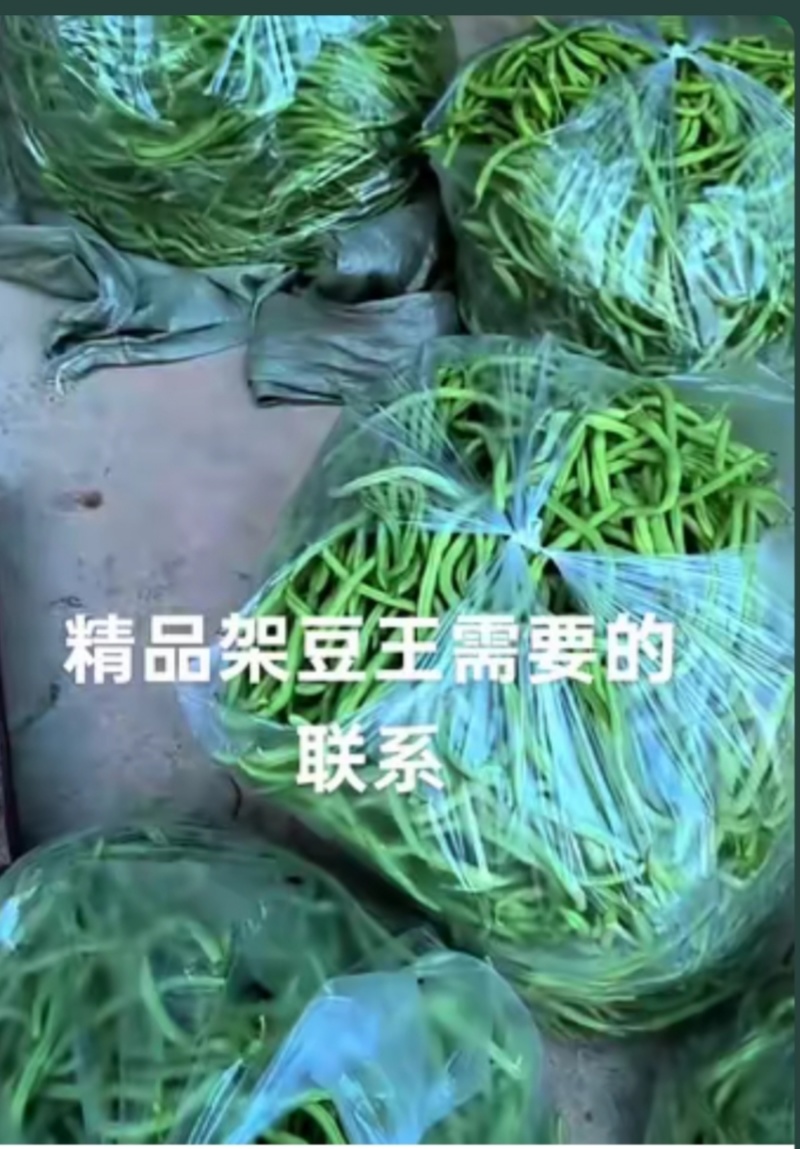 武都架豆王农家自种，没打农药