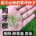 进口耐热狗牙根种子匍匐茎百慕大四季青草坪种籽庭院耐旱护坡草籽