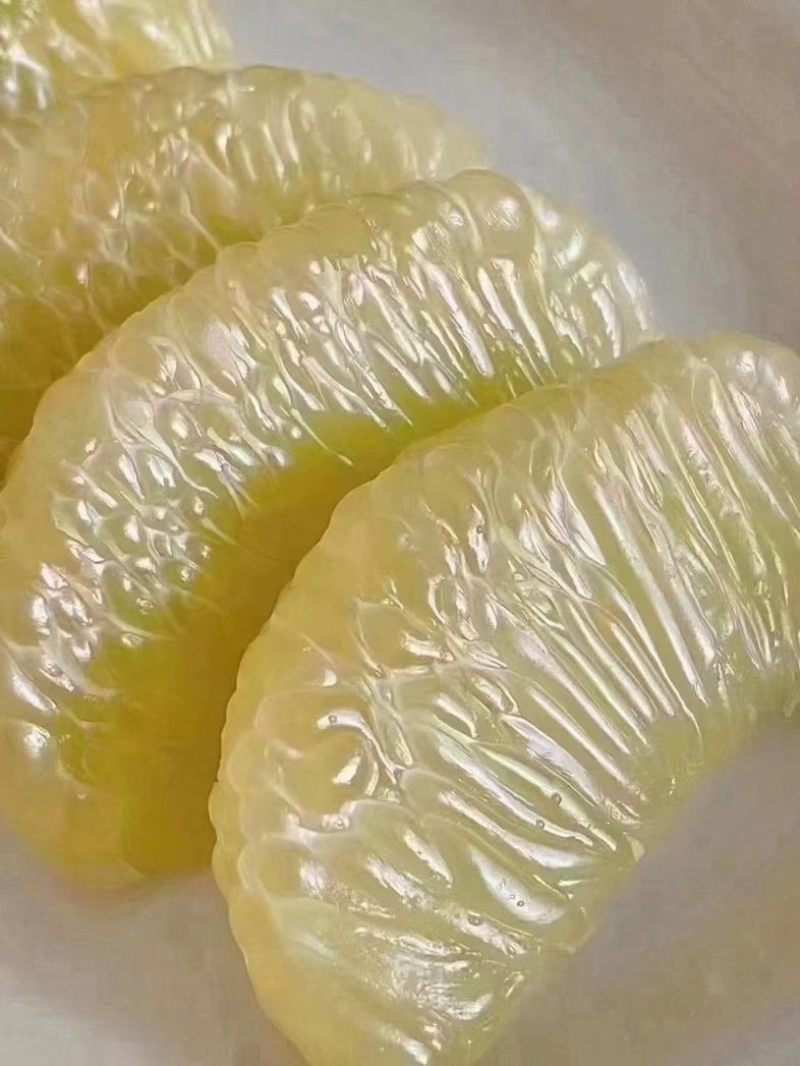 西双版纳傣柚