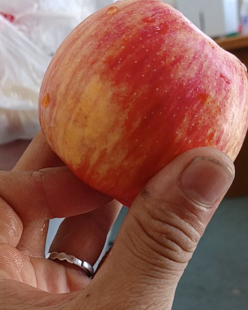 陕西秦翠苹果