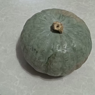 合阳产的银板栗南瓜