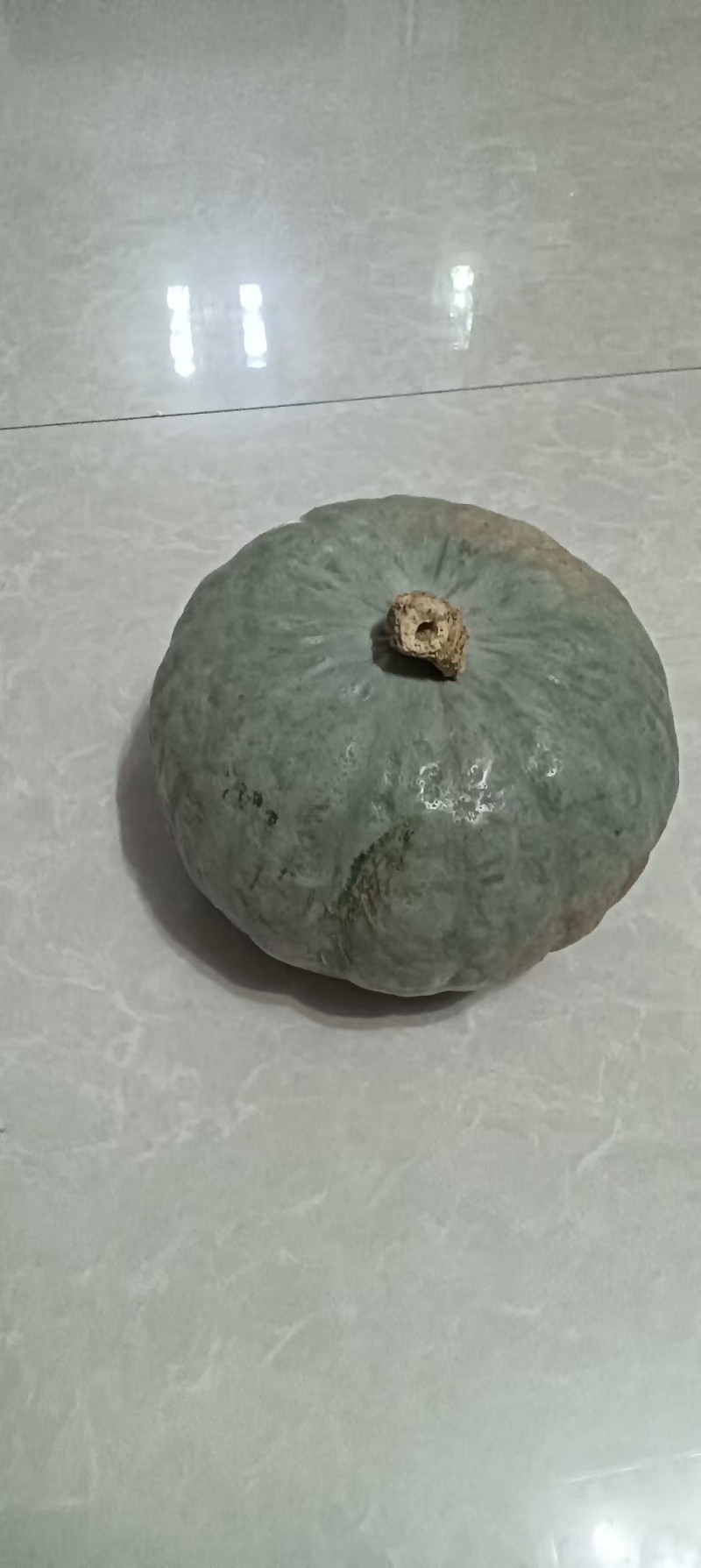 合阳产的银板栗南瓜