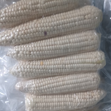 粘玉米