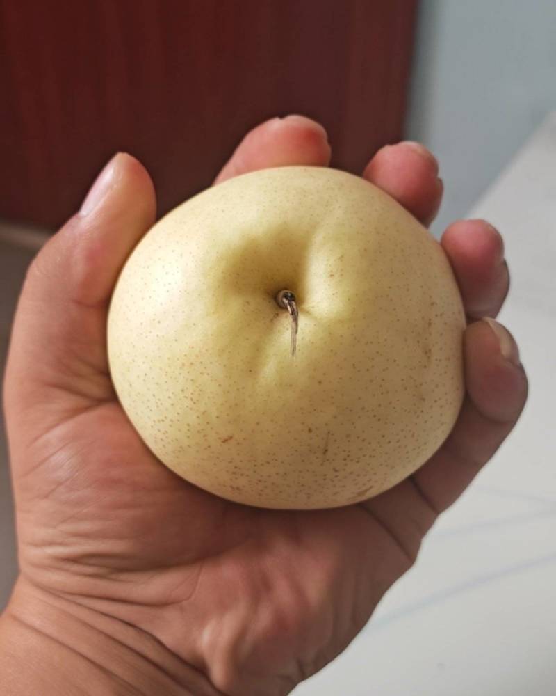 黄金梨