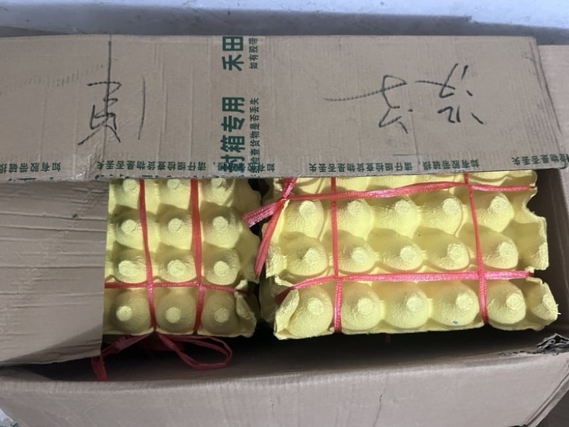 土鸡蛋，粉壳蛋