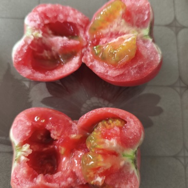玖品一号口感番茄，有现货