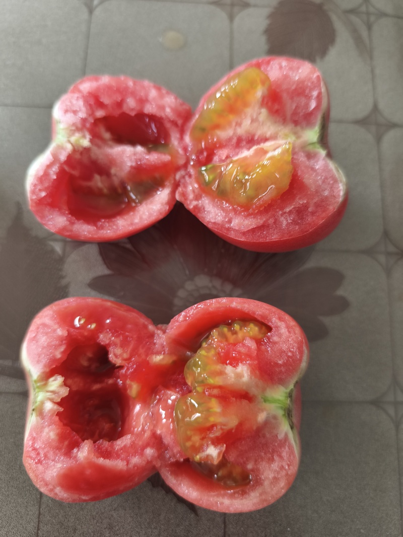 玖品一号口感番茄，有现货