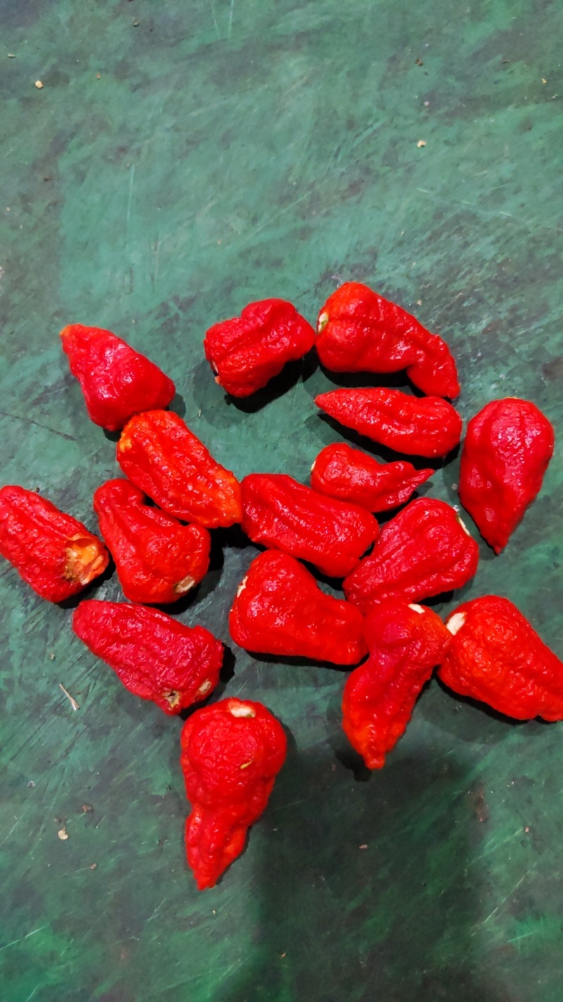 工业辣椒