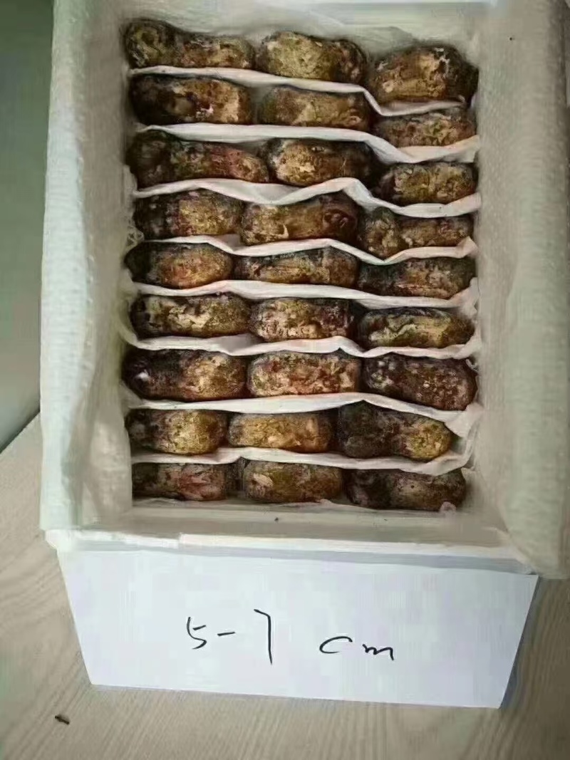 ***雅江松茸，纯从农户手上收