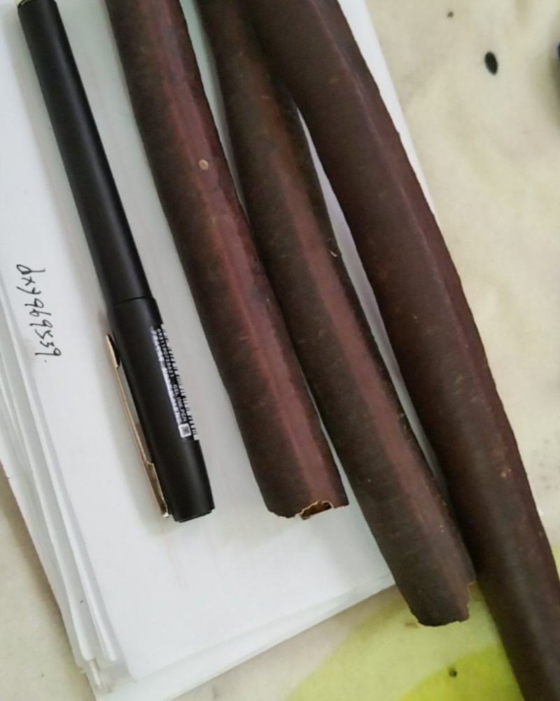 便秘果，大肠果