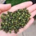 楚雄大姚石羊花椒