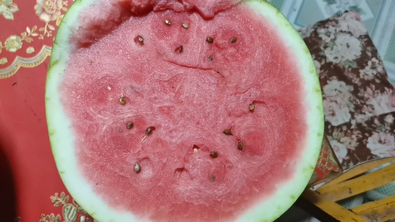 甘肃靖远硒砂瓜
