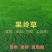 草坪种子四季青果岭草耐寒耐旱高羊茅护坡耐践踏草坪草籽庭院绿化