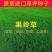 草坪种子四季青果岭草耐寒耐旱高羊茅护坡耐践踏草坪草籽庭院绿化