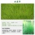 草坪弯叶画眉草护坡草坪耐寒耐旱性很强耐炎热种籽庭院