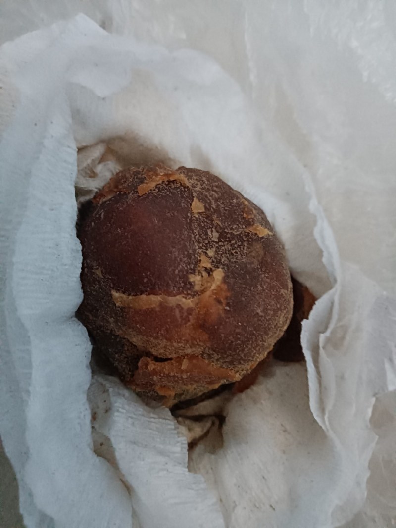 鸡宝